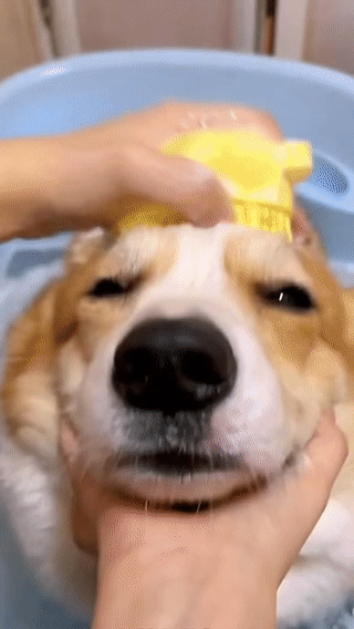 Escova Massageadora de Silicone para Pets